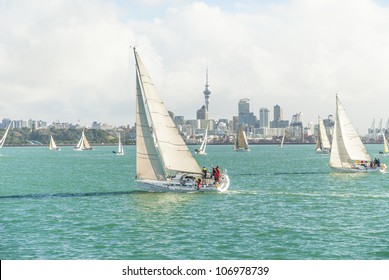 yachts racing in auckland harbour