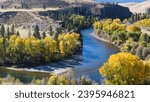 Yakima River winds through yellow trees and basalt cliffs in Kittitas County during fall