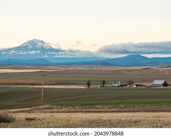 Yakima Valley Farm Land With Mt. Adams In The Background