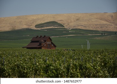 Yakima Valley Wineries, Benton City Washington, USA