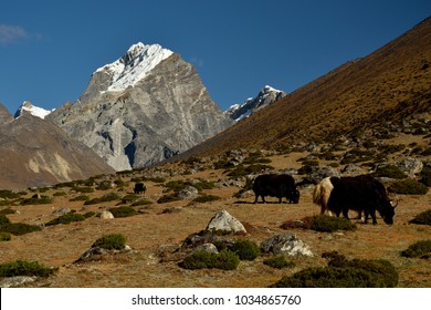 198 Sagarmatha Zone Images, Stock Photos & Vectors 