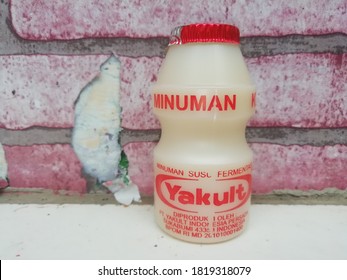 Yakult Is A Japanese Sweetened Probiotic Milk Beverage Fermented With The Bacteria Strain Lactobacillus Paracasei Shirota