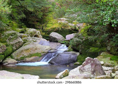 Yakushima, Shiratani Unsuikyo