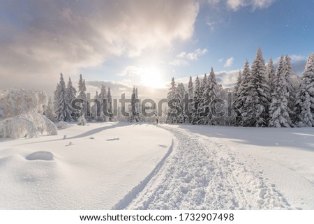
Yalangas Range. Beloretsk. Republic of Bashkortostan. The Russian Federation. May 2020. Winter landscapes.