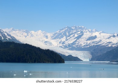 Yale Glacier In College Fjord, Alaska     