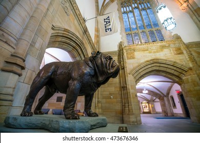 Yale University, New Haven - AUGUST 23: Handsome Dan On August 23, 2016. It Is A Bulldog Who Serves As The Mascot Of Yale University's Sports Teams In New Haven, Connecticut. 