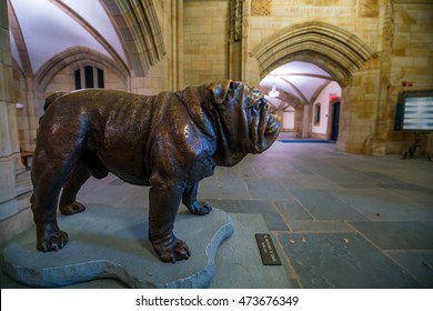 Yale University, New Haven - AUGUST 23: Handsome Dan On August 23, 2016. It Is A Bulldog Who Serves As The Mascot Of Yale University's Sports Teams In New Haven, Connecticut. 