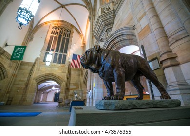 Yale University, New Haven - AUGUST 23: Handsome Dan On August 23, 2016. It Is A Bulldog Who Serves As The Mascot Of Yale University's Sports Teams In New Haven, Connecticut. 