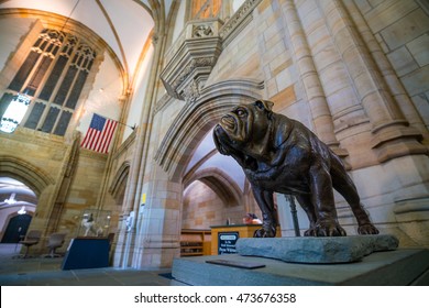 Yale University, New Haven - AUGUST 23: Handsome Dan On August 23, 2016. It Is A Bulldog Who Serves As The Mascot Of Yale University's Sports Teams In New Haven, Connecticut. 