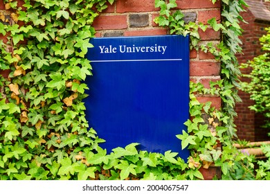 Yale University Sign On Brick Building Surrounded By Green Vines - New Haven, Connecticut, USA - 2021