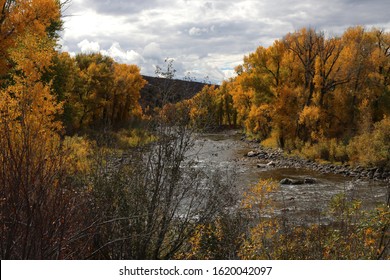 The Yampa River South Of Steamboat Springs, Colorado.  Autumn Leaves Of Aspen And Cottonwood.  Golden Leaves, Dark And Stormy Clouds.  Rushing Water.  