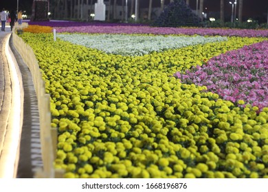 Yanbu Flower Festival Suadi Arabia