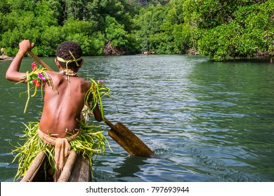 Yang sportive indigenous tribal boy with a paddle in a traditional canoe, natural green jungle with mangrove trees background, Melanesia, Papua New Guinea, Tufi