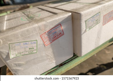 YANGON, MYANMAR (BURMA) - Sep 01, 2019: Live Clam Shipped From Myanmar To China In A Styrofoam Box Photographed At An Airport At The Export Customs Check