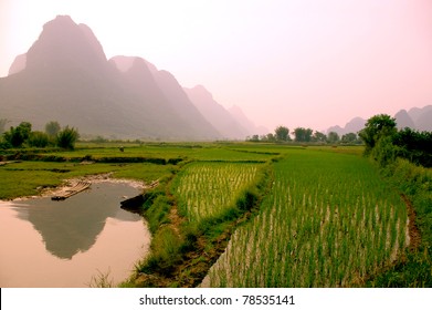 yangshuo landscape - rice field