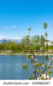 Yanqing District Spring Park Scenery