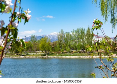 Yanqing District Spring Park Scenery