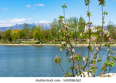 Yanqing District Spring Park Scenery