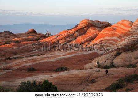 Yant Flat, Candy Cliffs, Utah, US. Hiker goes at dawn to the rocks with red and white waves.