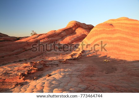 Yant Flat - Candy Cliffs Utah 