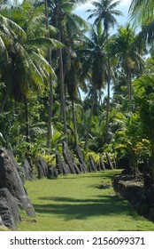 Yap Micronesia Stone Money Outdoors