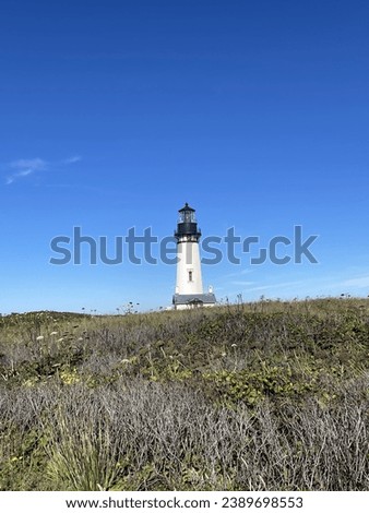 The Yaquina Head Lighthouse is the tallest in Oregon at 93 feet. Located in Newport Oregon it rests on a hill surrounded by wildflowers. A great place for whale watching.