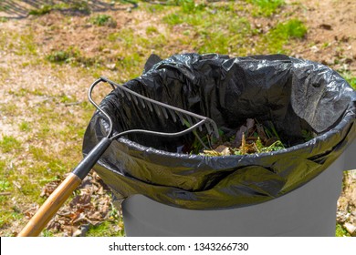 Yard Cleanup - Garden Rake And Trash Can