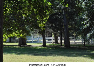 Yard In Front Of Andrew Jackson's Home At The Hermitage Mueum In Nashville, Tennessee, USA