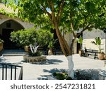 Τhe yard of Moni Panagias Keras Kardiotissas in Crete island in Greece - Βenches, clay pots with plants and flowers and beautiful trees - Serenity and peacefulness at this religious monument