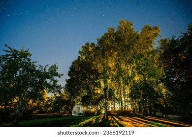 Yard at night, birches and greenhouse, starry night  - Powered by Shutterstock