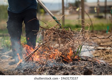 Yard Waste Clippings Pile Cleanup Up By Burning In A Small Controlled Burn Washington State Yakima Indian Reservation