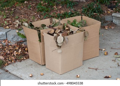 Yard Waste In Paper Box