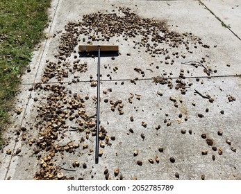 Yard Waste And Push Broom On Concrete Driveway