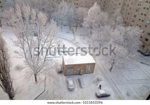 Yard in winter town and\
trees in snow.