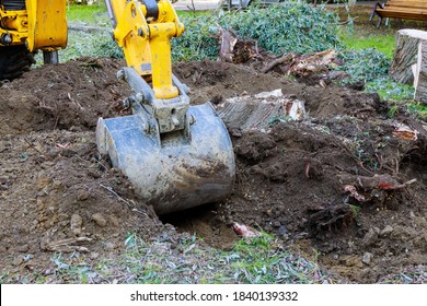 Yard Work Bulldozer Clearing Land From Old Trees, Roots And Branches With Backhoe Machinery In Urban Neighborhood.