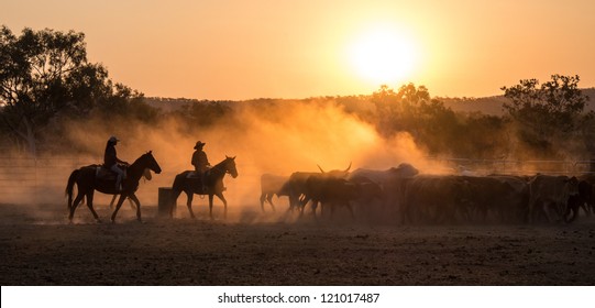 Yard work and mustering - Shutterstock ID 121017487