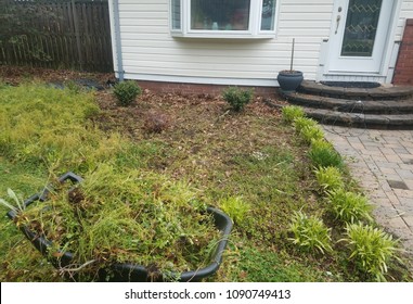 yardwork including pulling weeds and front door of house