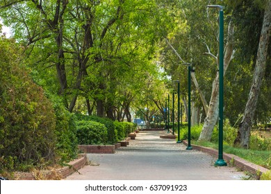 Yarkon Park Background.