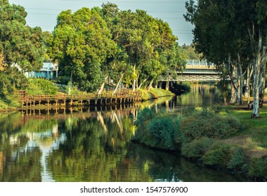 Yarkon River And  Park Background