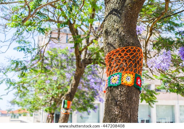 Yarn bombing. A tree dressed with knitted colorful\
wool. European park.