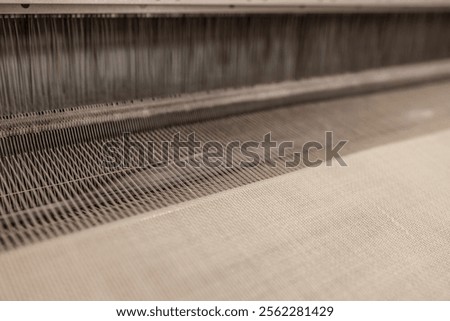 Yarn thread lines on the weaving loom machine. A loom machine for clothing or woven label. Weaving machine for garment industry. Weaving loom in textile factory.