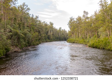 Yarra Ranges National Park, Australia April 2018.