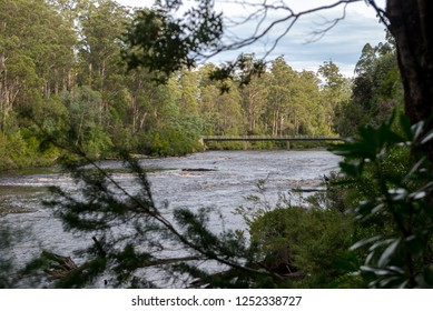 Yarra Ranges National Park, Australia April 2018.