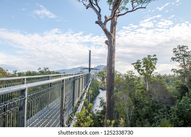 Yarra Ranges National Park, Australia April 2018.