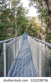 Yarra Ranges National Park, Australia April 2018.