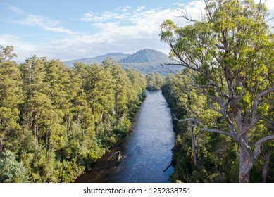 Yarra Ranges National Park, Australia April 2018.