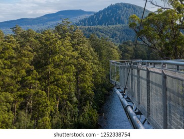 Yarra Ranges National Park, Australia April 2018.