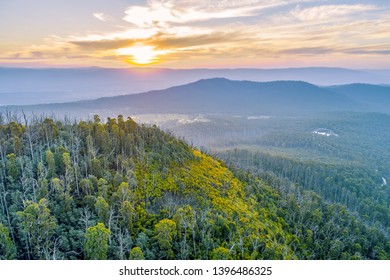 Yarra Ranges National Park At Sunset