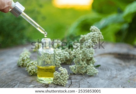 Yarrow extract in a bottle. Selective focus. nature.