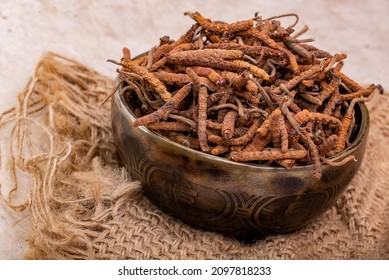 Yarsagumba (Cordyceps Sinensis  Ophiocordyceps Sinensis) 